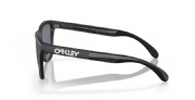 Oakley Frogskins Range Matte Black/ Prizm Grey