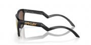 Oakley Frogskins Hybrid Matte Black/ Prizm 24K Polarized